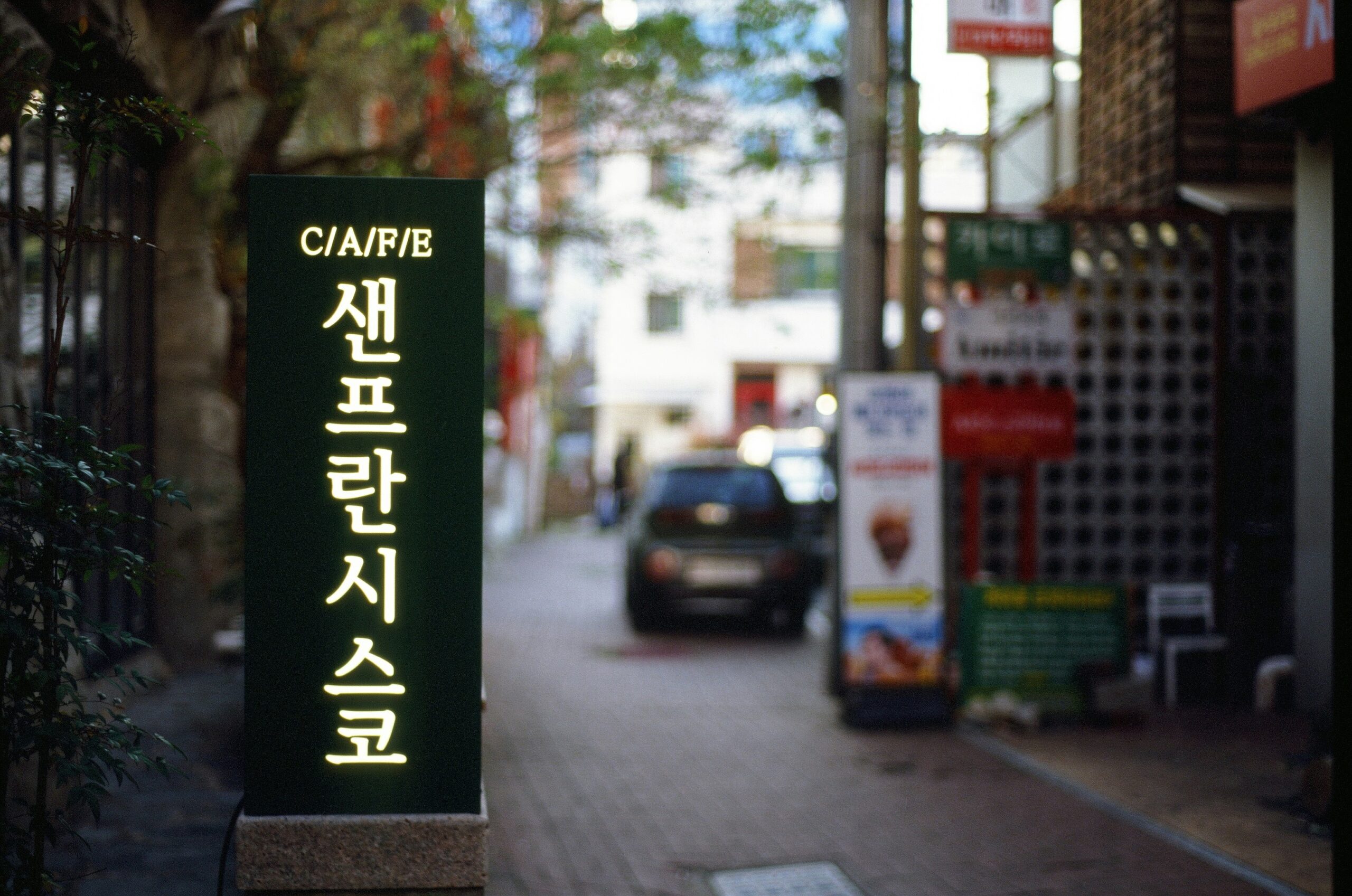 Korean swear words guide