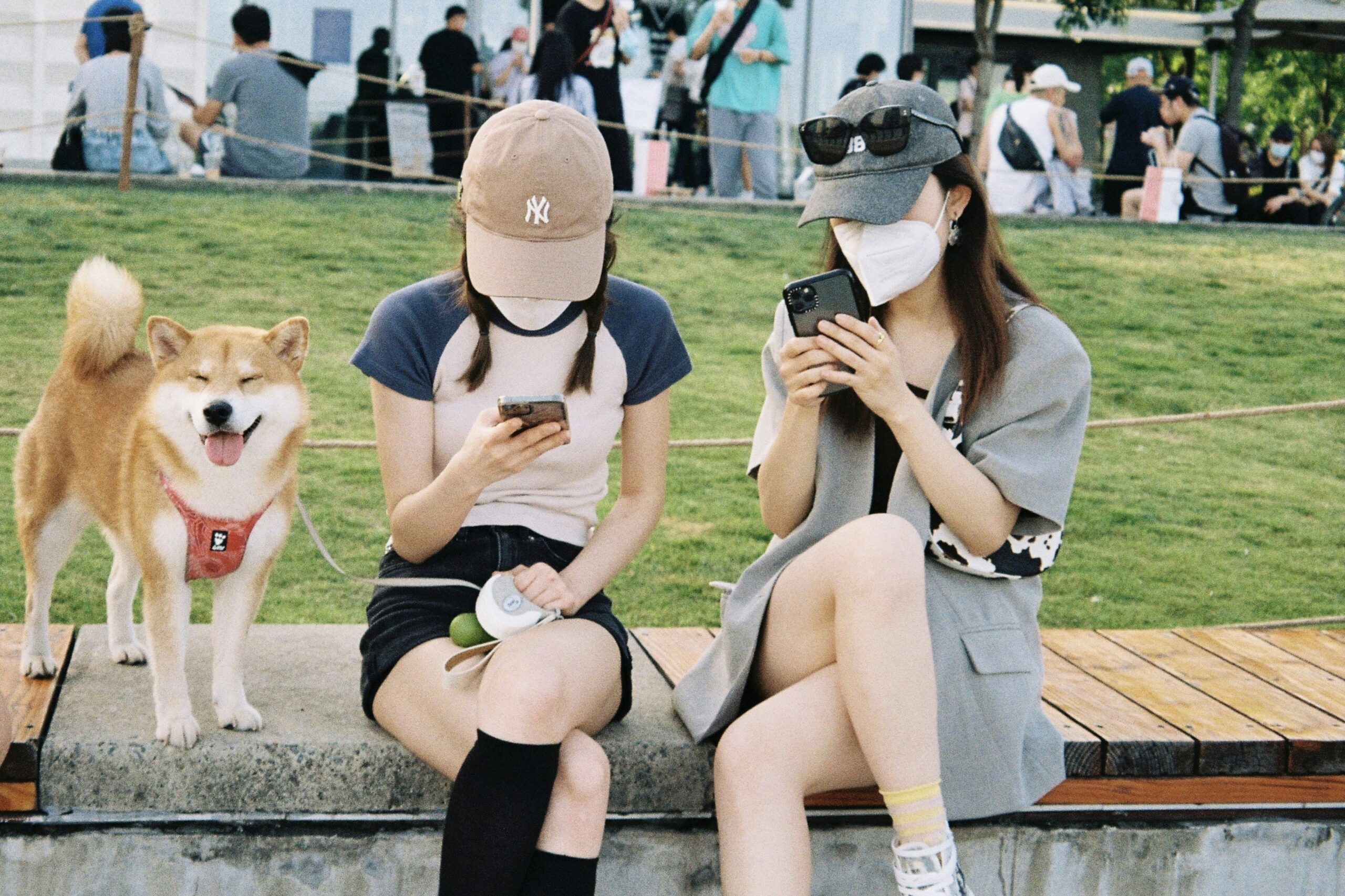 Korean Communication Apps