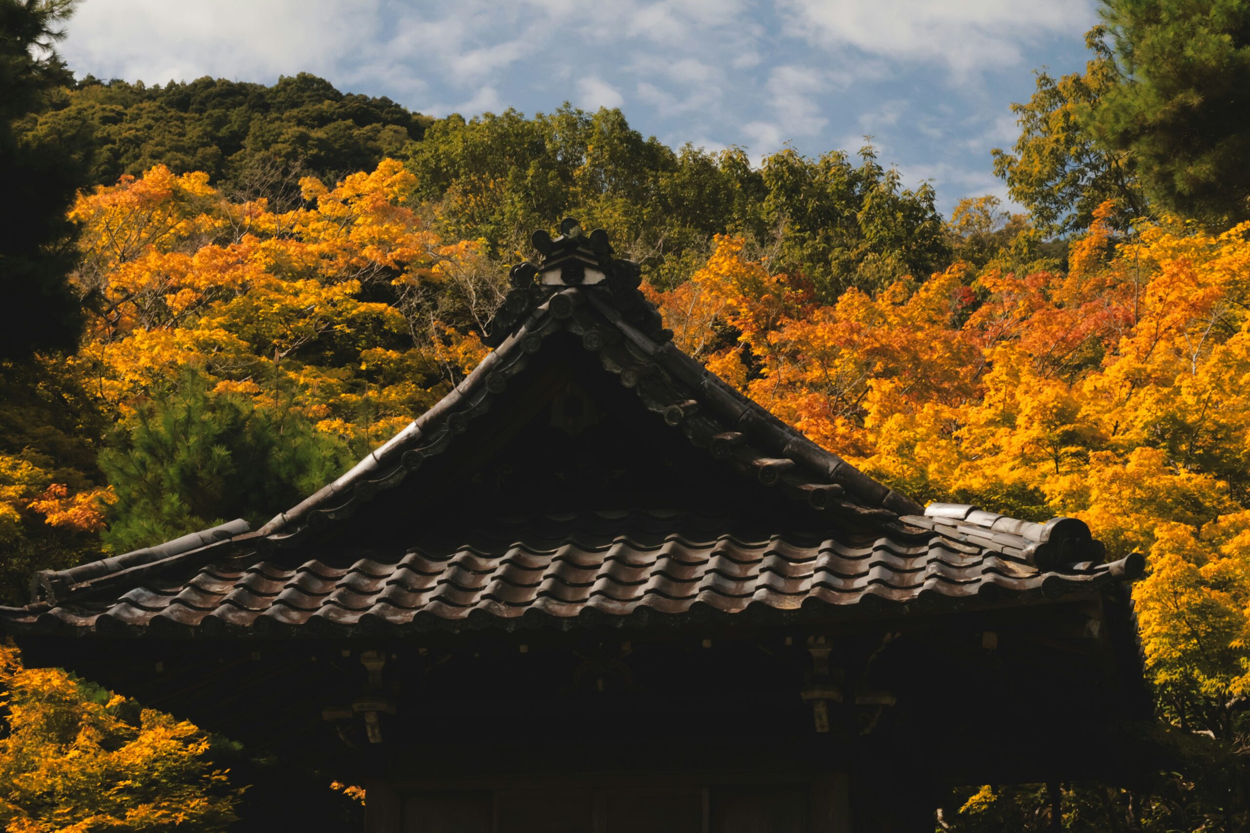 Korean language and cultural immersion