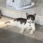 Profile photo of jas8