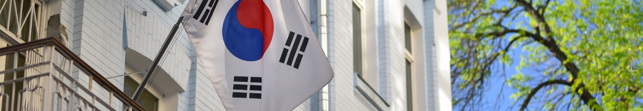 Private: Intensive Korean Language Preparatory Class